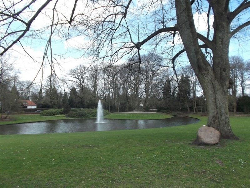 DSCF7842.JPG