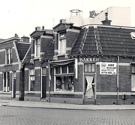 Roomweg Nieuwluststraat.jpg