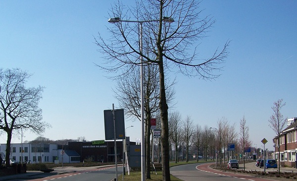 Getfertsingel 2011.jpg