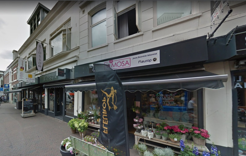 Korte Hengelosdstraat 27 Fleurop Bloemenzaak Mimosa.jpg
