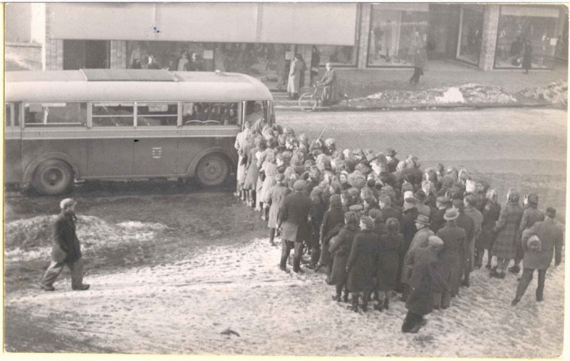 gemeentewapen op bus.jpg