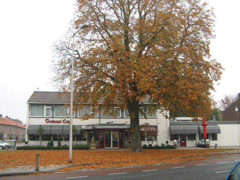 Haaksbergerstraat 594-596 chinees restaurant Oriental City.jpg