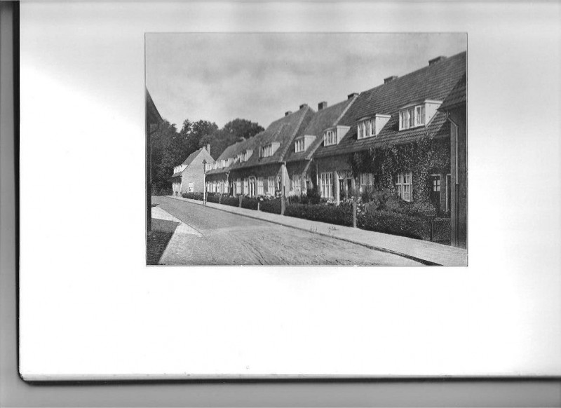 picture1.jpg