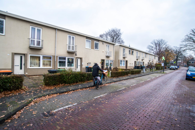 De witte woningen zijn technisch op. © Reinier van Willigen.jpg