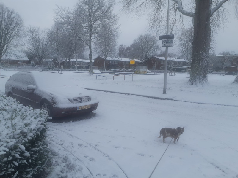 Jacob van Ruysdaelstraat sneeuw 16-1-2024.jpg