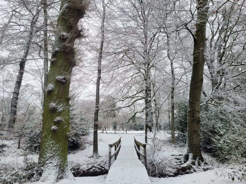 Abraham-Ledeboerpark-Enschede-sneeuw-januari 1924.jpeg
