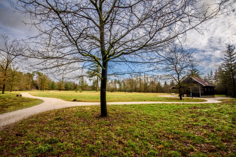 Windmolenweg 401 Wandelen kan volop op Natuurbegraafplaats Landgoed Christinalust.jpg