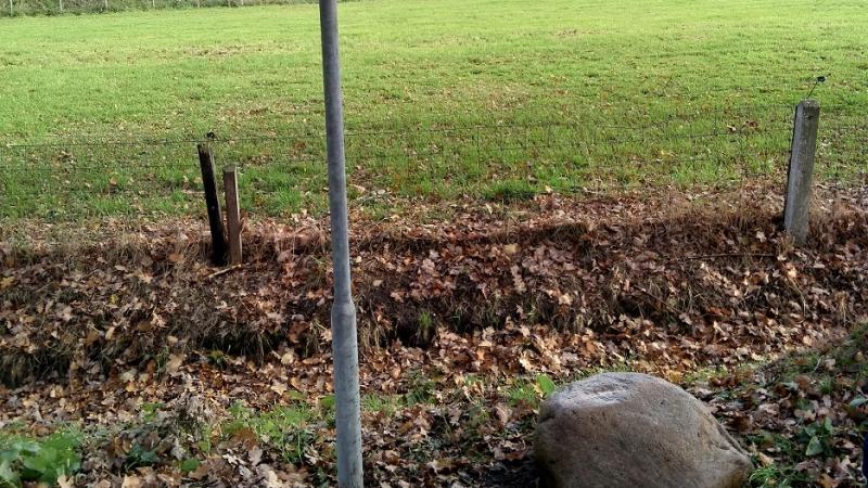 Lonneker grens Driene Hengelo Schoppenweg steen bij Pallas.jpg