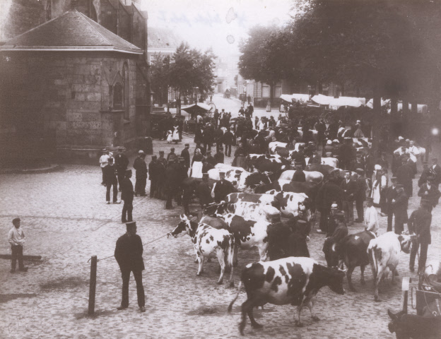 Markt gezien vanaf de Haverstraat veemarkt. afbeelding in 1900 van fotograaf E. Rabbers.jpeg