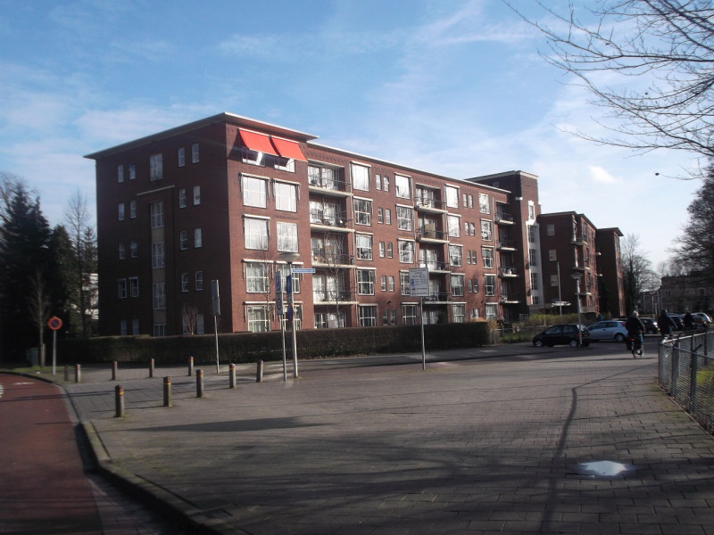 Stadsmatenstraat 1 hoek Parkweg Koningin Wilhelminaflat.JPG