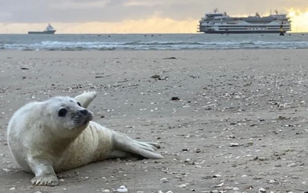 groeten uit texel.jpg