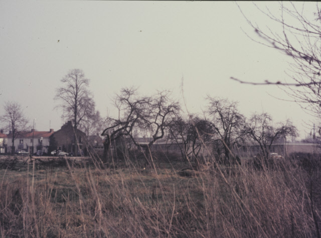 Roessinghsbleekweg 33 Bouwterrein Mytylschool (later onderdeel van Het Roessingh). Hier lagen volkstuinen. De fruitbomen stonden oorspronkelijk achter een dubbele woning van Ludwig van Heek 22-3-1973.jpeg