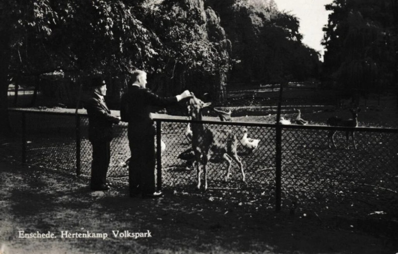 hertenkamp-in-het-Volkspark-in-1949.jpg