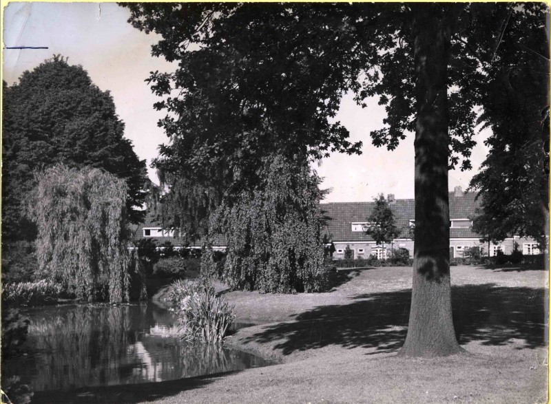 mr. Aalbersestraat.2.jpg