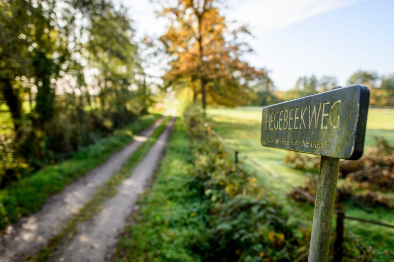 Hegebeekweg Het plan is dat de zandweg de nieuwe toegangsweg wordt van het vakantiepark op het Rutbeek. 12-6-2024.jpg