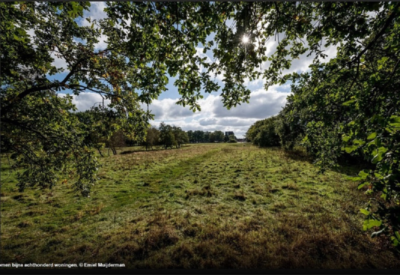 Eschmarkerveld 2024.jpg