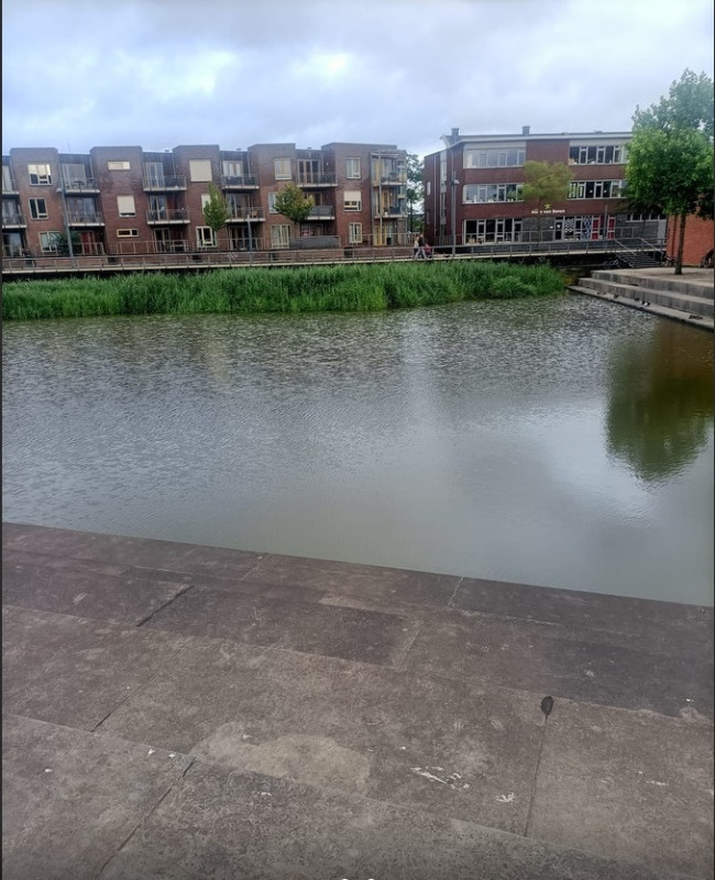 Het Rozendaal 11 vijver Roombeek 13-7-2024.jpg