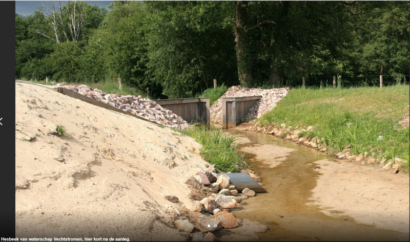 Hesbeek.jpg