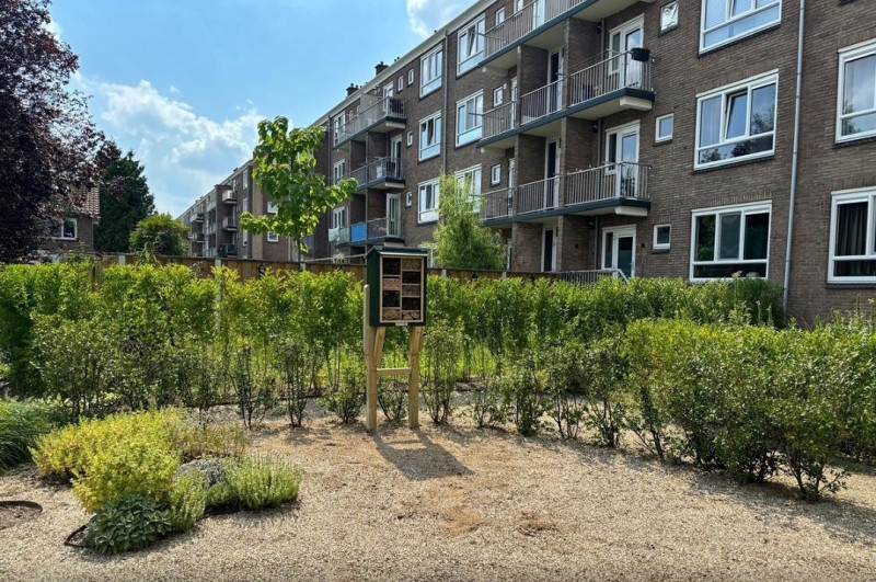 Maanstraat balkonkastjes.jpg