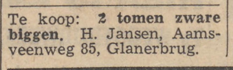 Aamsveenweg 85 Glanerbrug H. Jansen advertentie Tubantia 5-8-1964.jpg
