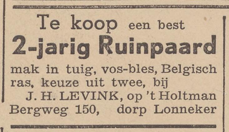 Bergweg 150 Lonneker J.H. Levink advertentie Twentsche Courant 22-3-1938.jpg