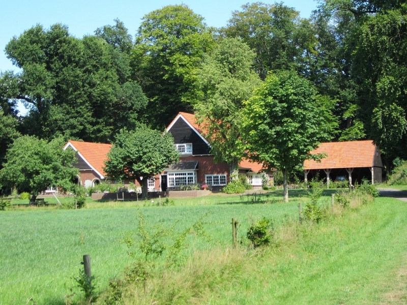 raad de plek.JPG