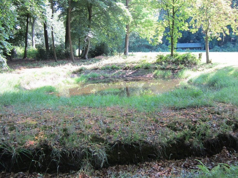 raad de plek (2).JPG
