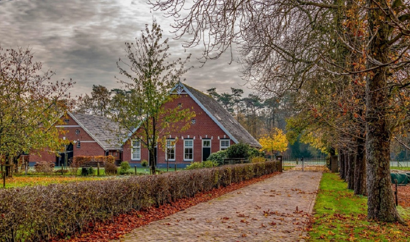 Boekelosestraat 311 net buiten het dorp.Richting Usselo  Boerderij Roesink.jpg