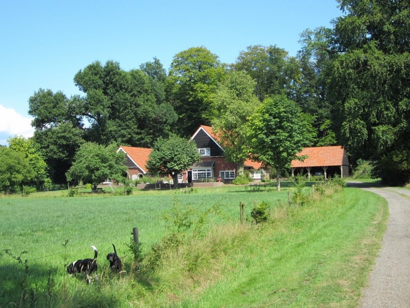 Oldenzaalsestraat landgoed De Welle.JPG