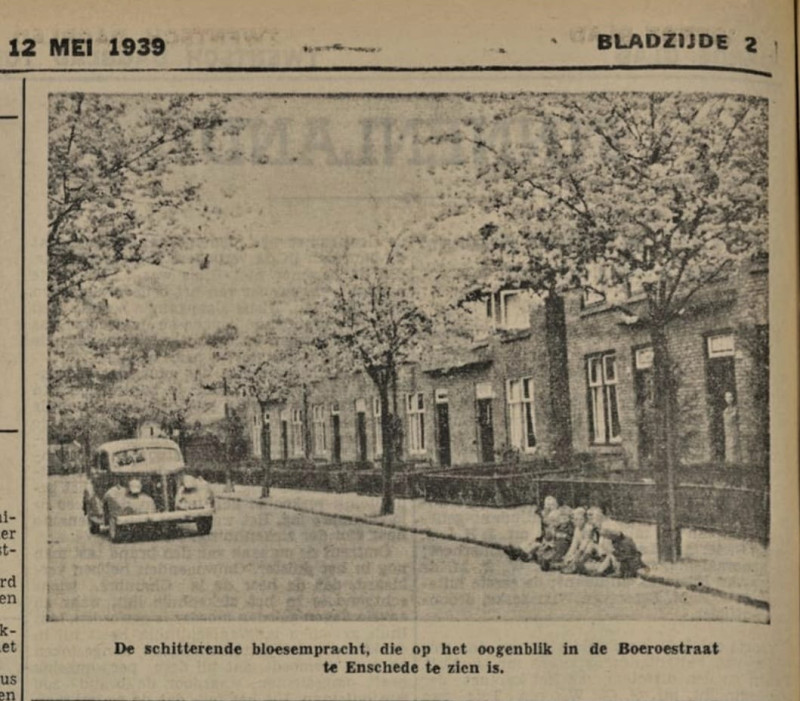 Boeroestraat 1-13 met prunusbomen.jpg