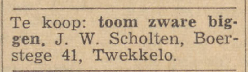 Boerstege 41 Twekkelo J.W. Scholten advertentie Tubantia 28-5-1965.jpg
