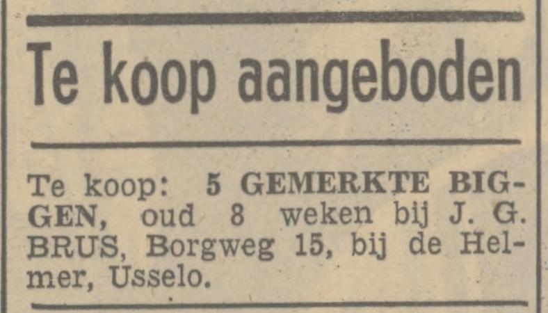 Borgweg 15 J.G. Brus Helmer Usselo advertentie Tubantia 8-6-1938.jpg