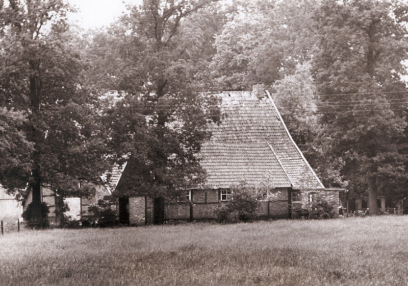 Boshofweg 50 Zijgevel boerderij (bouwstijl Saksisch Loshoes), van eigenaar H.G.J. Witbreuk 1965.jpeg