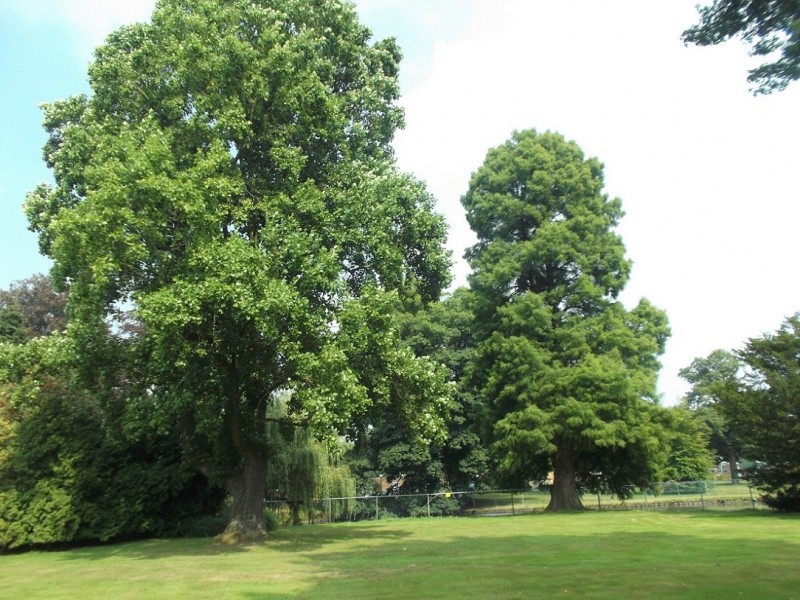 Welnaweg 100 bomenpark bij villa het Bouwhuis.JPG