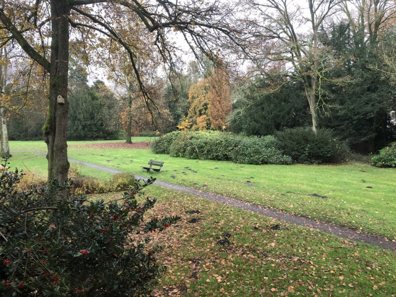Herfst 2024.jpg