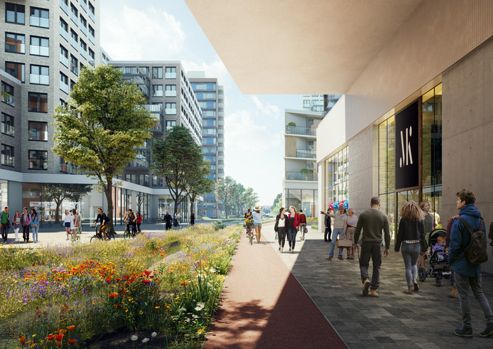 Kop plan 2024 boulevard.jpg
