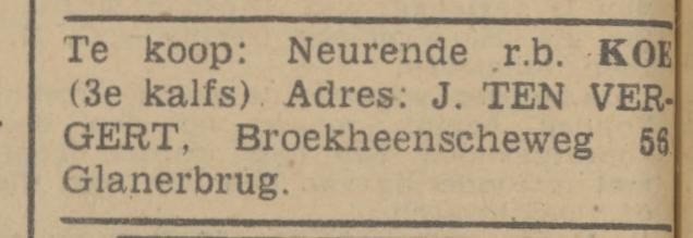 Broekheenseweg 56 J. ten Vergert advertentie Tubantia 19-6-1942.jpg