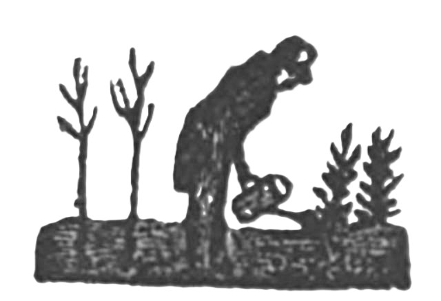 std plaatje 1905 2.jpg