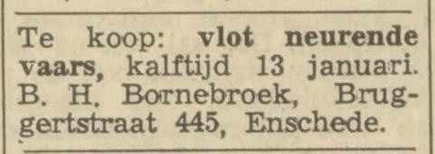 Bruggertstraat 445 B.H. Bornebroek advertentie Tubantia 4-1-1966.jpg