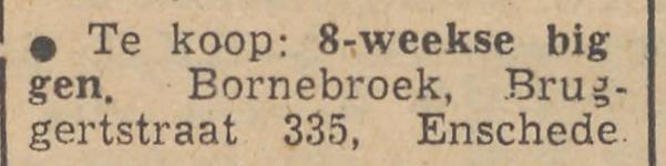 Bruggertstraat 335 Bornebroek advertentie Tubantia 13-11-1952.jpg