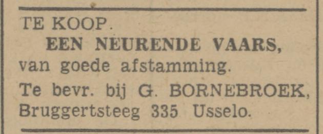 Bruggertsteeg 335 Usselo G. Bornebroek advertentie Tubantia 1-7-1942.jpg