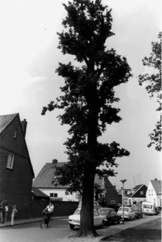 Buitenweg 30-32 woningen 1980.jpg
