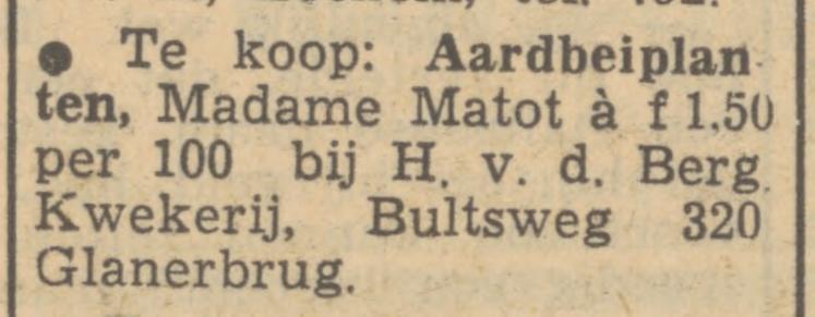 Bultstweg 320 kwekerij H. van den Berg advertentie Tubantia 6-9-1950.jpg
