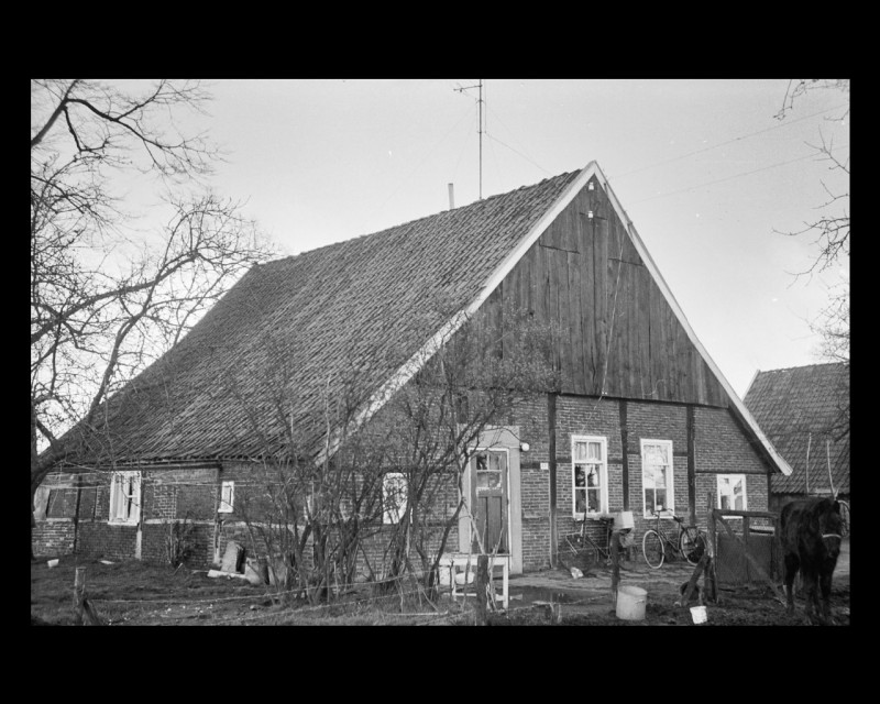 Burgemeester Stroinkstraat 445.jpg