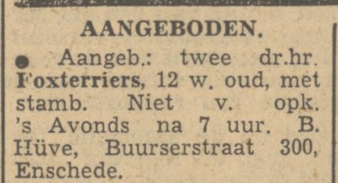 Buurserstraat 300 B. Huve advertentie Tubantia 2-12-1949.jpg