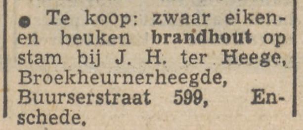 Buurserstraat 599 J.H. ter Heege advertentie Tubantia 30-1-1953.jpg