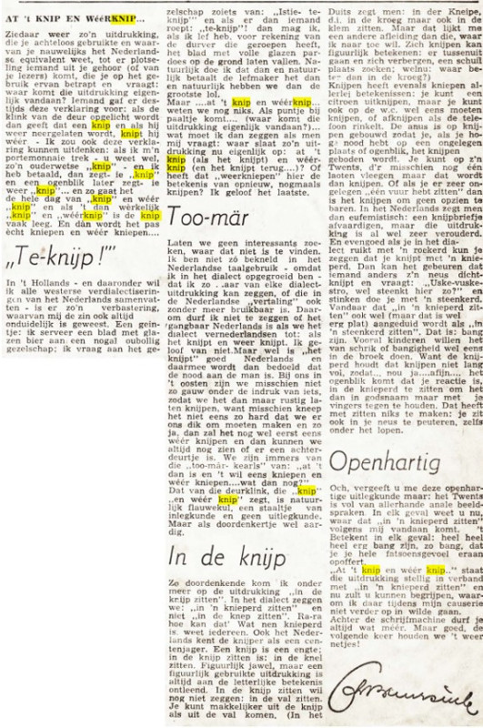 at knip.jpg