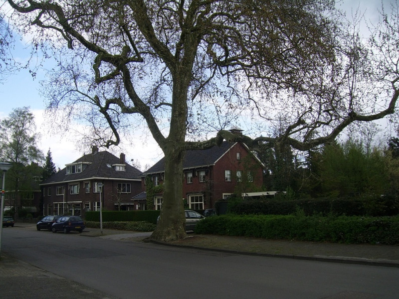 Cort van der Lindenlaan 2 vroeger woonhuis Dr. Wefers Bettink nu Huisartsenpraktijk Kroeze 30-7-2011.JPG