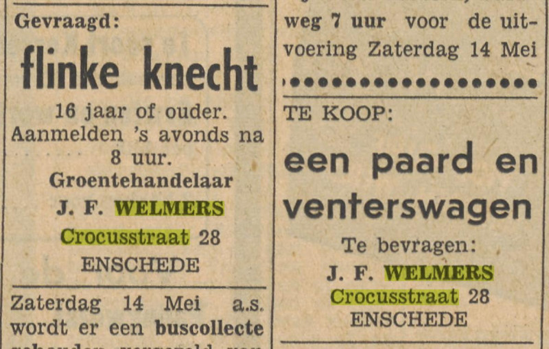 Crocusstraat 28 J.F. Welmers advertentie Tubantia 12-5-1955.jpg