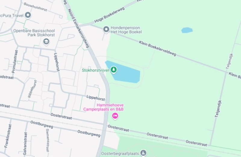 stokhorst telgendijk 2025.jpg